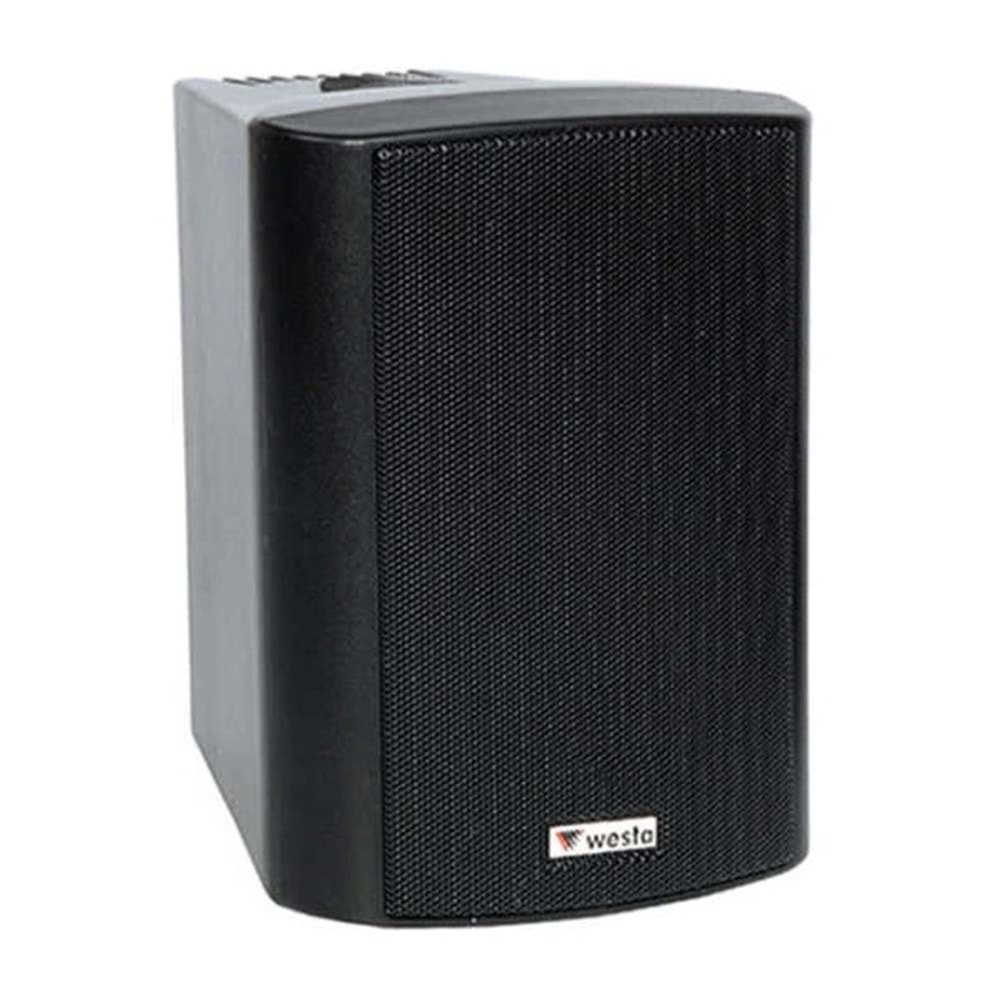 Westa WS-4TB 10 cm 100 W HAT TR Plastik Kabin Hoparlör Siyah TAKIM