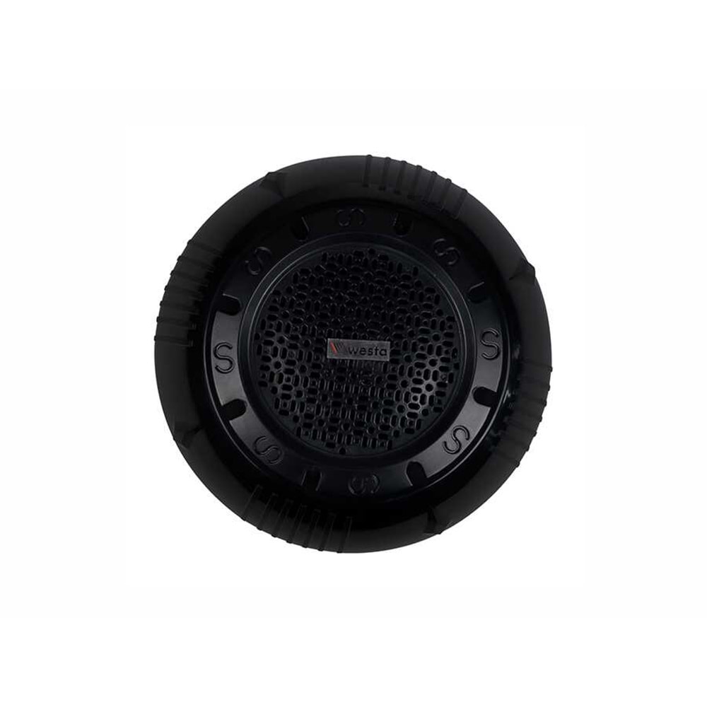 Westa WS-1119TB 12' Trafolu Tavan Tipi Hoparlör 100W Siyah