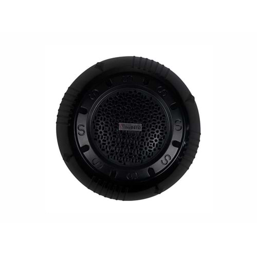 Westa WS-1119TB 12' Trafolu Tavan Tipi Hoparlör 100W Siyah